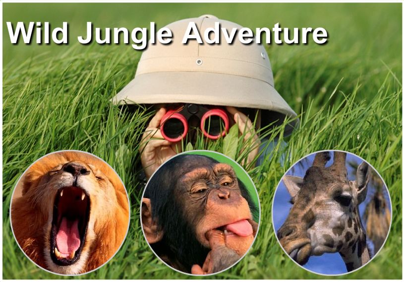 jungle adventure