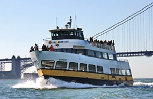 Cruise on the Bay